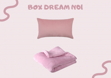 BOX DREAM N01